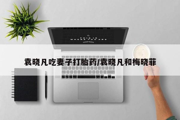 意外怀孕不想要打胎药微信购买袁晓凡吃妻子打胎药/袁晓凡和梅晓菲